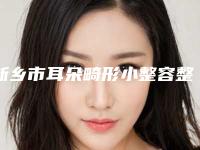 新乡市耳朵畸形小整容整形医院(艺佳整形美容潜力股专家汇聚于此)