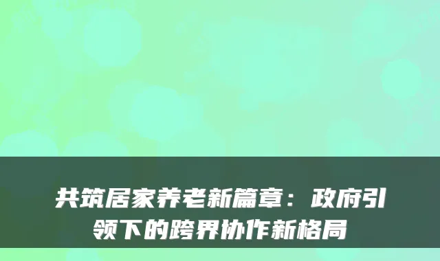 共筑居家养老新篇章:政府引领下的跨界协作新格局