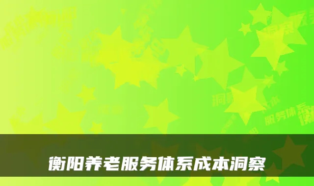 衡阳养老服务体系成本洞察