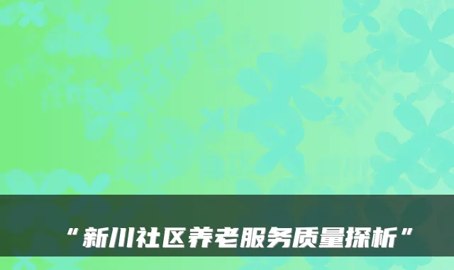 “新川社区养老服务质量探析”