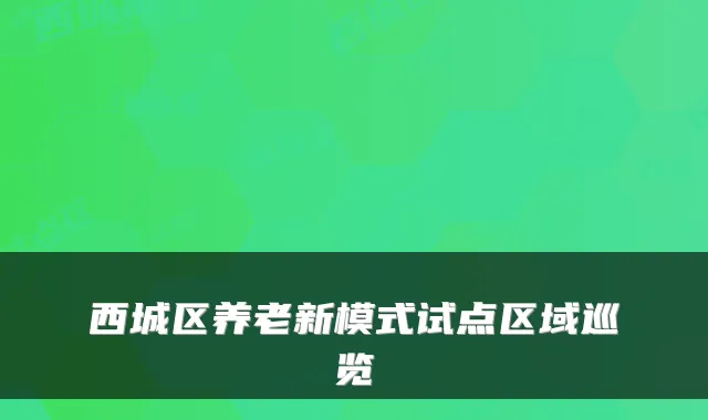 西城区养老新模式试点区域巡览