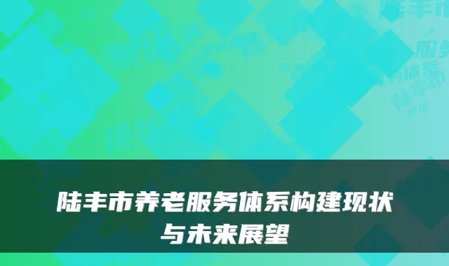 陆丰市养老服务体系构建现状与未来展望