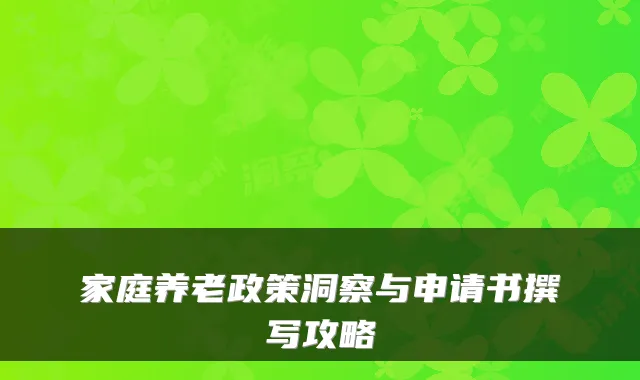 家庭养老政策洞察与申请书撰写攻略