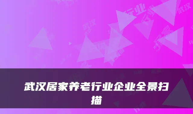 武汉居家养老行业企业全景扫描