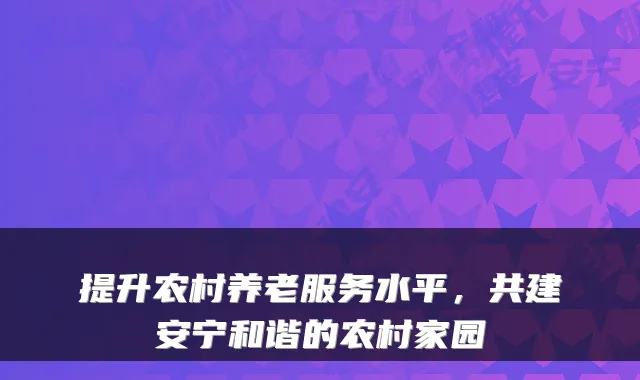 提升农村养老服务水平,共建安宁和谐的农村家园