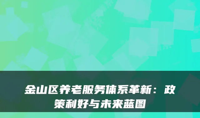 金山区养老服务体系革新:政策利好与未来蓝图