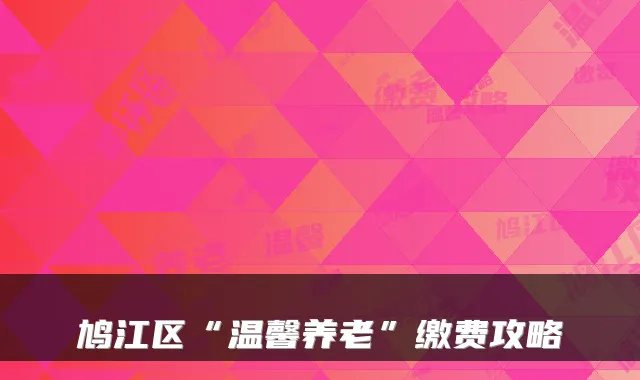 鸠江区“温馨养老”缴费攻略