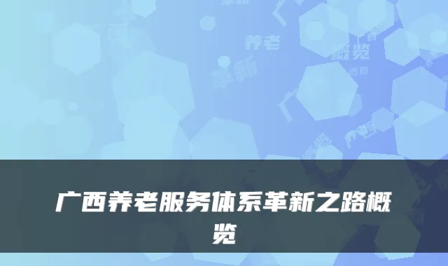 广西养老服务体系革新之路概览