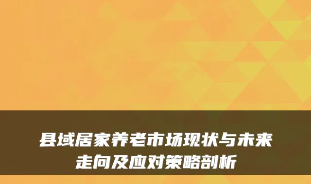 县域居家养老市场现状与未来走向及应对策略剖析