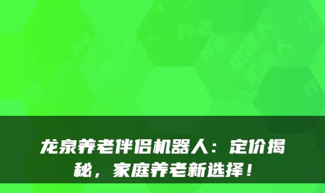 龙泉养老伴侣机器人：定价揭秘，家庭养老新选择！