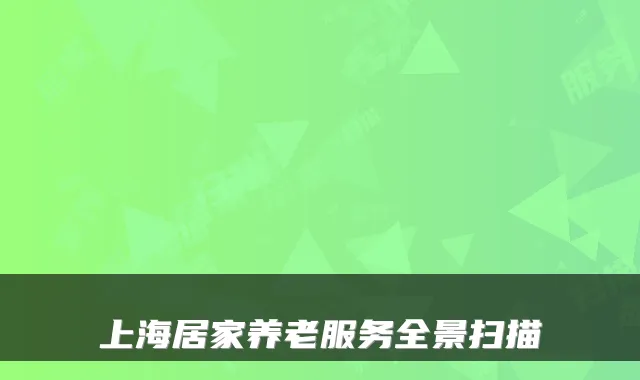 上海居家养老服务全景扫描