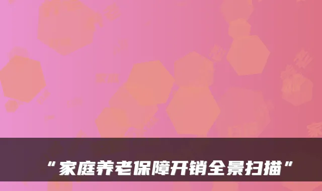 “家庭养老保障开销全景扫描”