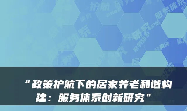 “政策护航下的居家养老和谐构建:服务体系创新研究”
