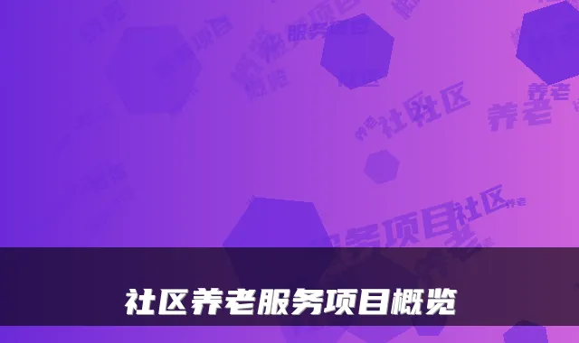 社区养老服务项目概览