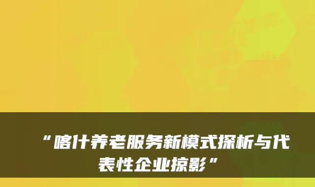 “喀什养老服务新模式探析与代表性企业掠影”