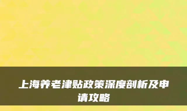 上海养老津贴政策深度剖析及申请攻略