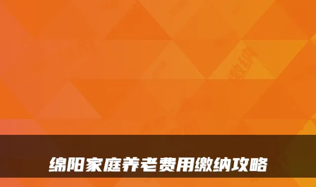 绵阳家庭养老费用缴纳攻略