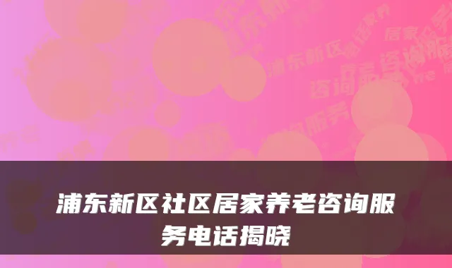 浦东新区社区居家养老咨询服务电话揭晓