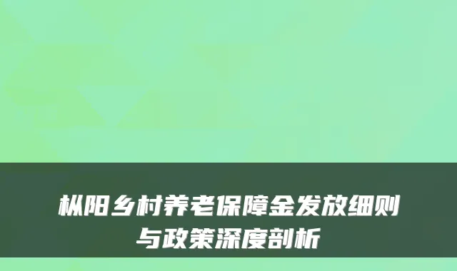 枞阳乡村养老保障金发放细则与政策深度剖析