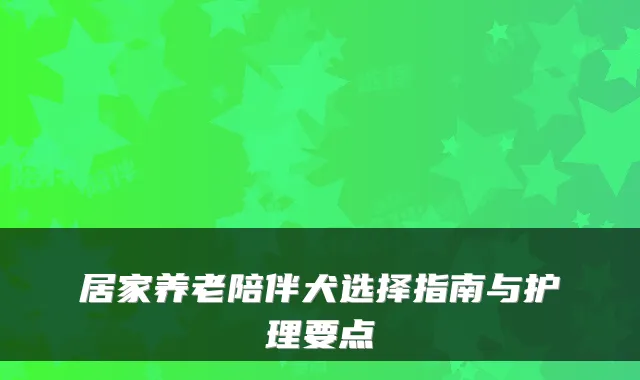 居家养老陪伴犬选择指南与护理要点