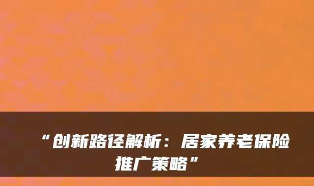 “创新路径解析:居家养老保险推广策略”