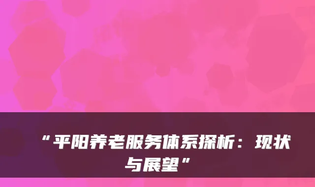 “平阳养老服务体系探析：现状与展望”