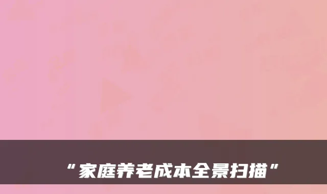 “家庭养老成本全景扫描”