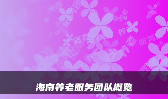 海南养老服务团队概览