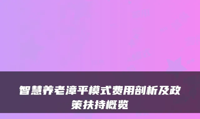 智慧养老漳平模式费用剖析及政策扶持概览