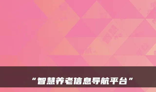“智慧养老信息导航平台”