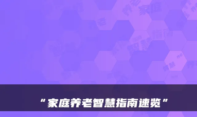 “家庭养老智慧指南速览”
