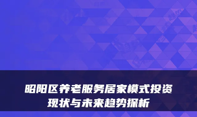 昭阳区养老服务居家模式投资现状与未来趋势探析