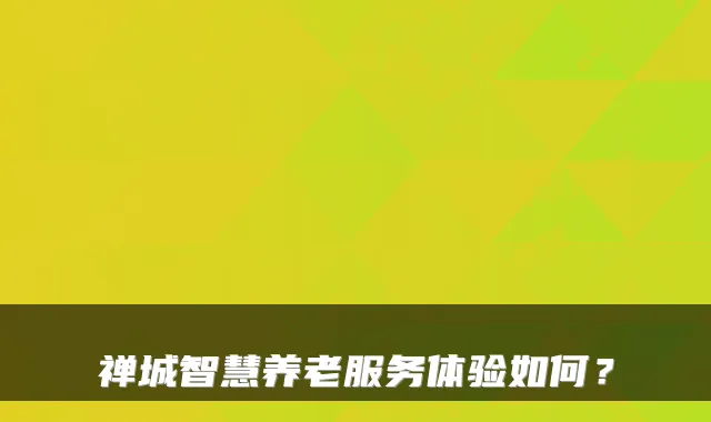 禅城智慧养老服务体验如何？