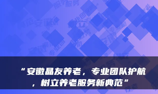 “安徽晶友养老,专业团队护航,树立养老服务新典范”