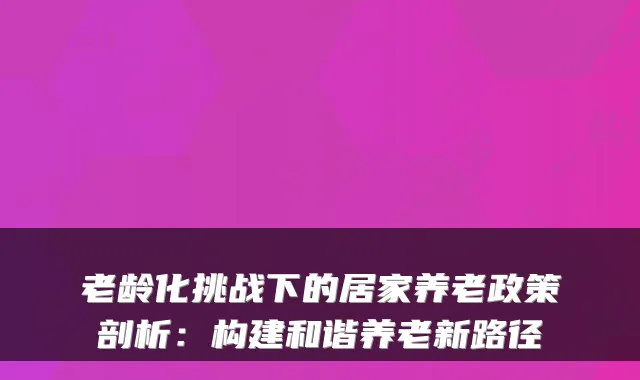 老龄化挑战下的居家养老政策剖析:构建和谐养老新路径