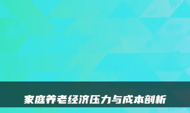 家庭养老经济压力与成本剖析