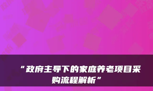 “政府主导下的家庭养老项目采购流程解析”