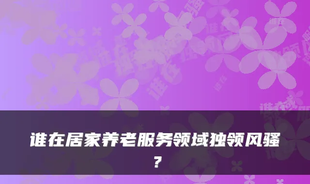 谁在居家养老服务领域独领风骚?