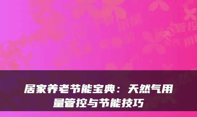 居家养老节能宝典:天然气用量管控与节能技巧