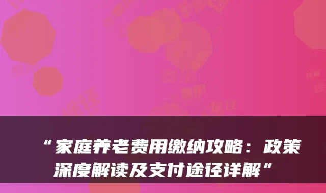 “家庭养老费用缴纳攻略:政策深度解读及支付途径详解”