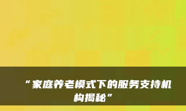 “家庭养老模式下的服务支持机构揭秘”