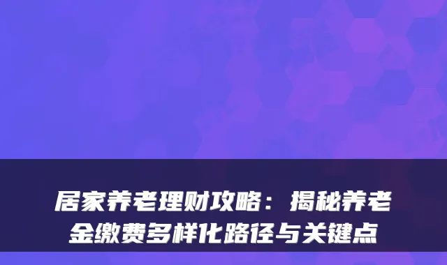 居家养老理财攻略:揭秘养老金缴费多样化路径与关键点