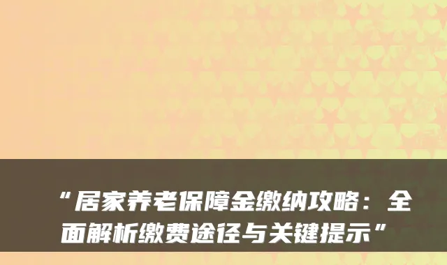 “居家养老保障金缴纳攻略：全面解析缴费途径与关键提示”