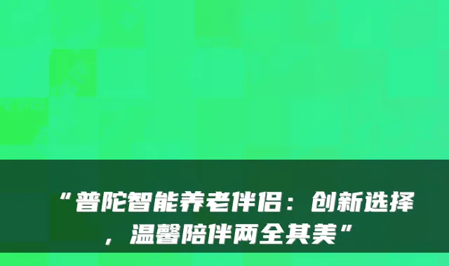 “普陀智能养老伴侣:创新选择,温馨陪伴两全其美”
