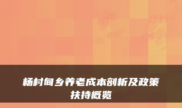 杨村甸乡养老成本剖析及政策扶持概览