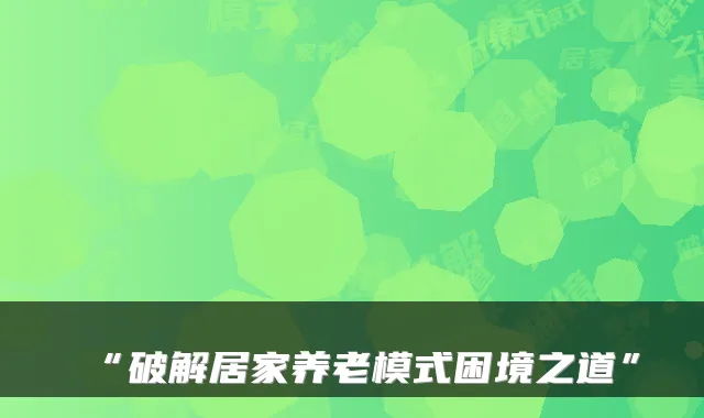 “破解居家养老模式困境之道”