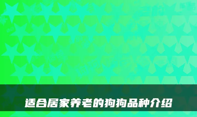 适合居家养老的狗狗品种介绍