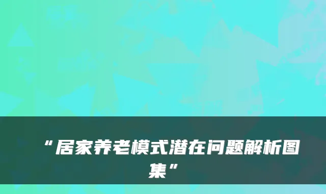 “居家养老模式潜在问题解析图集”
