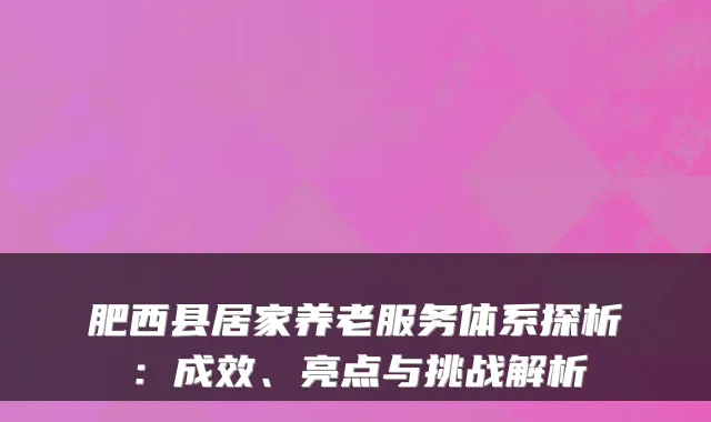 肥西县居家养老服务体系探析:成效、亮点与挑战解析